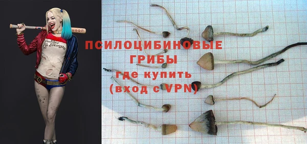 герыч Вяземский